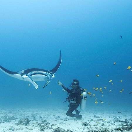 Blue Marlin Dive Komodo Labuan Bajo Esterno foto