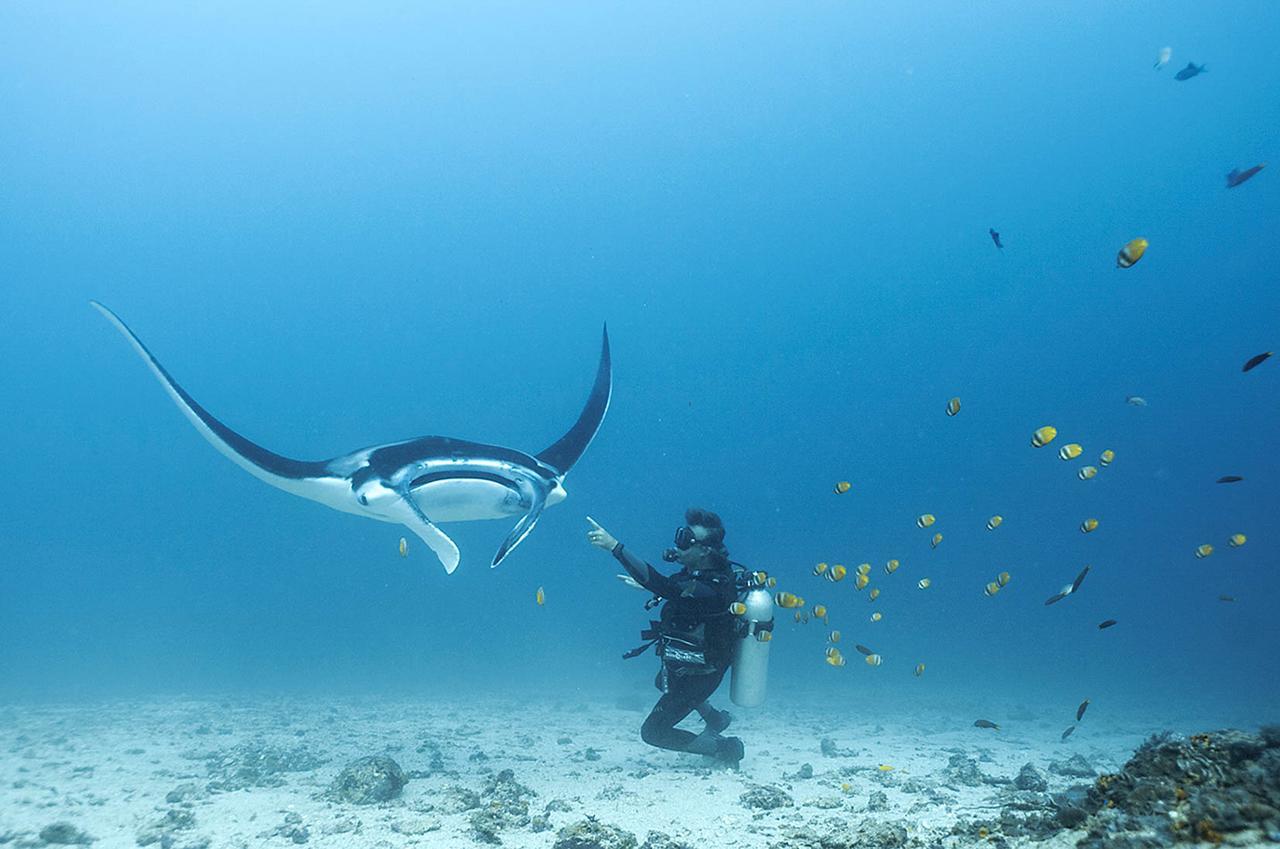 Blue Marlin Dive Komodo Labuan Bajo Esterno foto